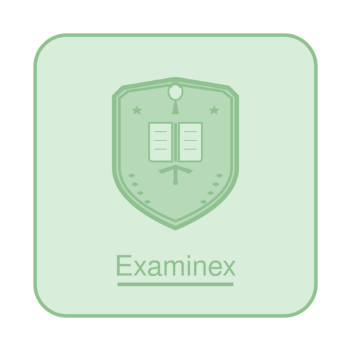 Логотип Examinex